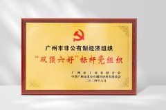 NG游戏党支部荣获广州市非公有制经济组织“双强六好”标杆党组织